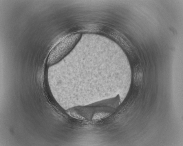 X0000115380484200912151442