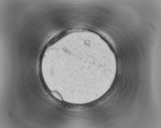 X0000115380485200912151442