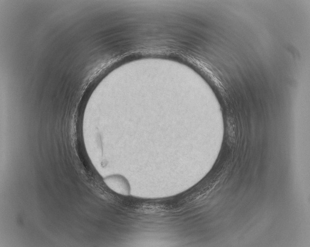 X0000115380487200912151442