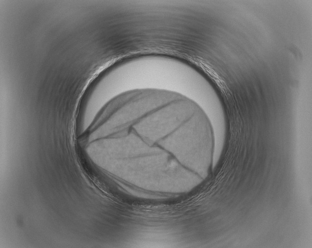 X0000115380488200912151442