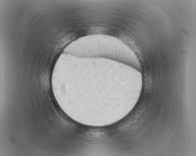 X0000115380489200912151442