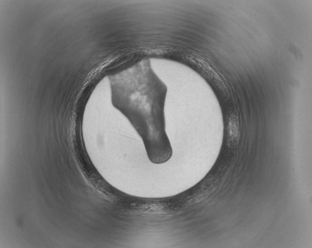 X0000115380492200912151442