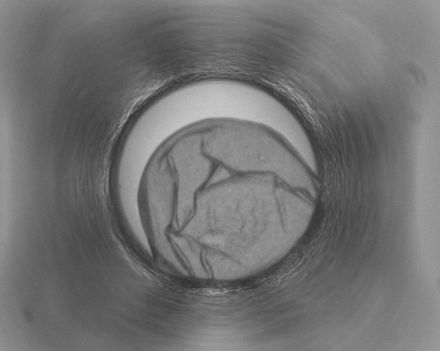 X0000115380496200912151442