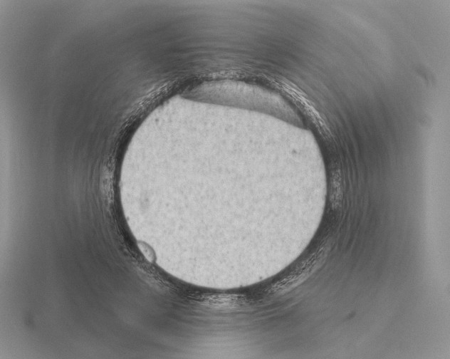 X0000115380497200912151442