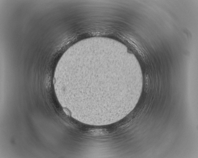 X0000115380499200912151442