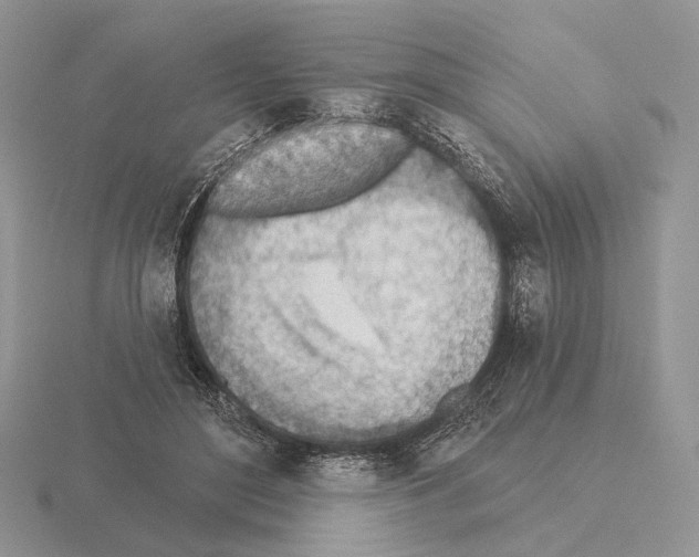 X0000115380500200912151442