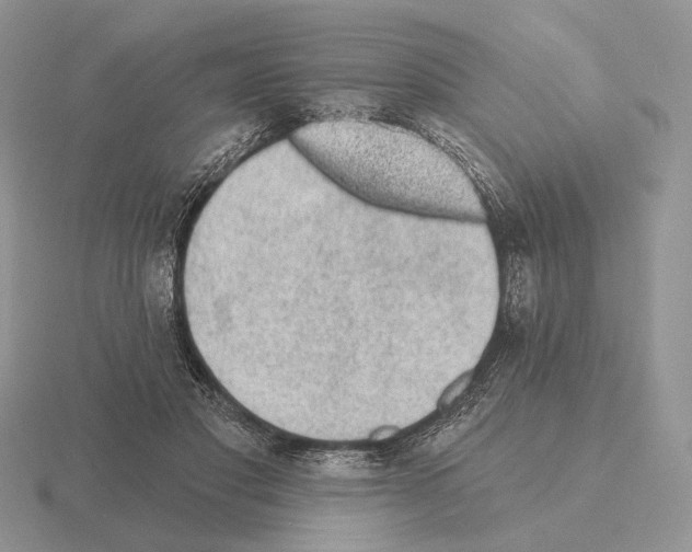 X0000115380501200912151442