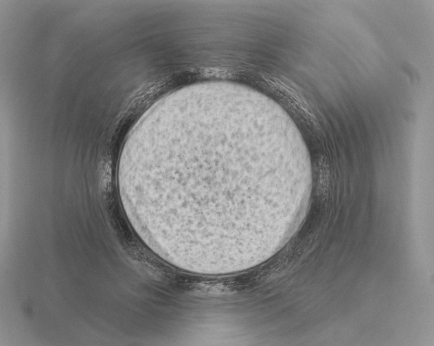 X0000115380502200912151442