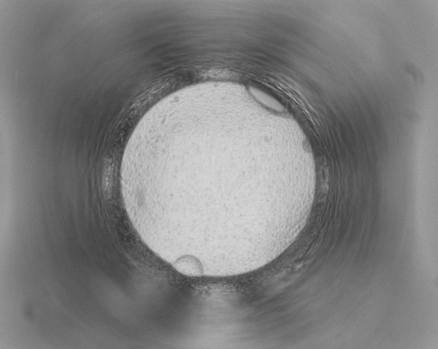 X0000115380503200912151442