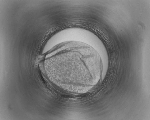 X0000115380504200912151442