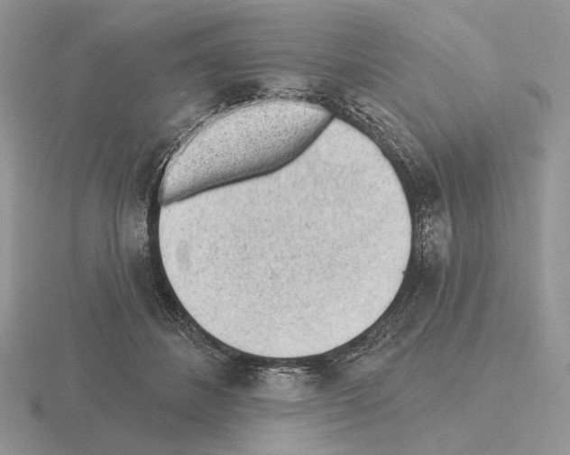 X0000115380508200912151442