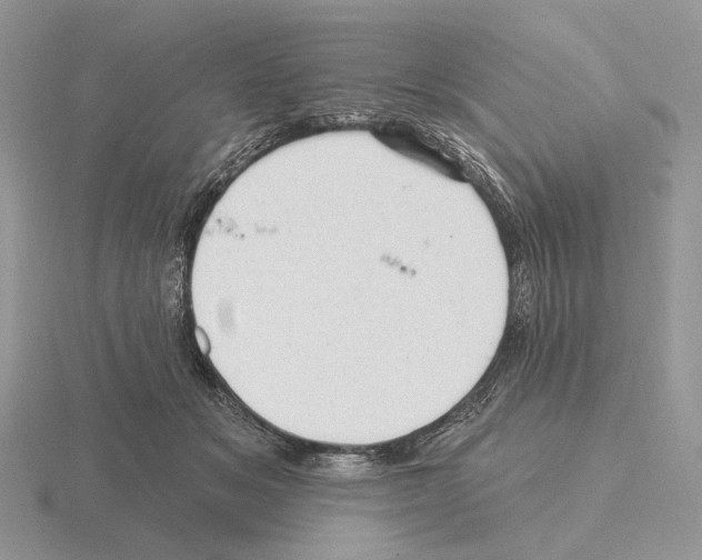 X0000115380509200912151442