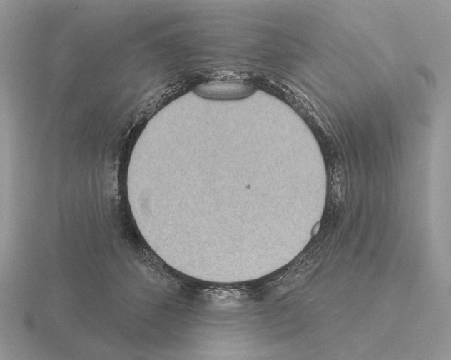 X0000115380512200912151442