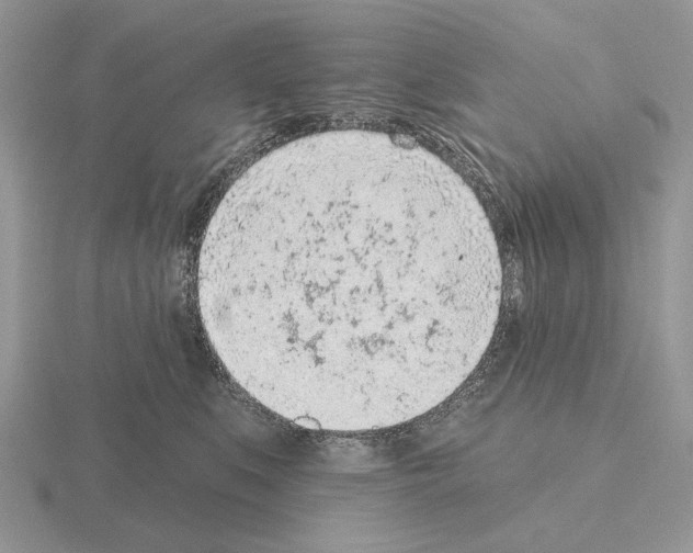 X0000115380519200912151442