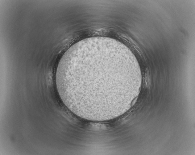 X0000115380520200912151442