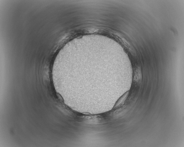 X0000115380524200912151442