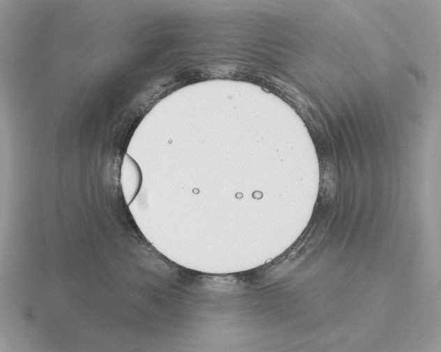 X0000115380525200912151442