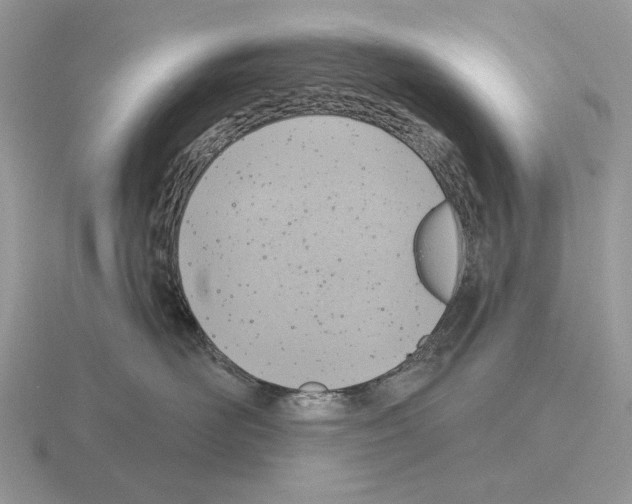 X0000115380526200912151442