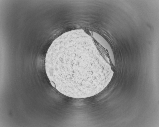 X0000115380527200912151442