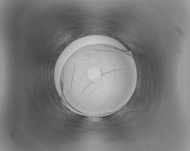 X0000115380528200912151442