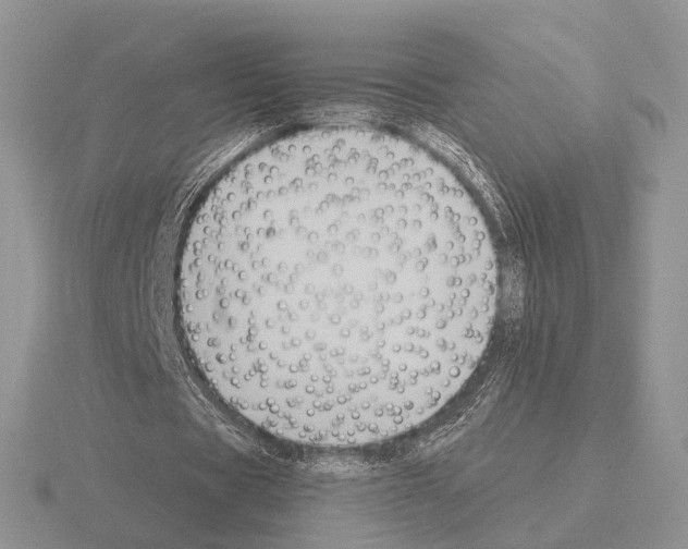 X0000115380529200912151441