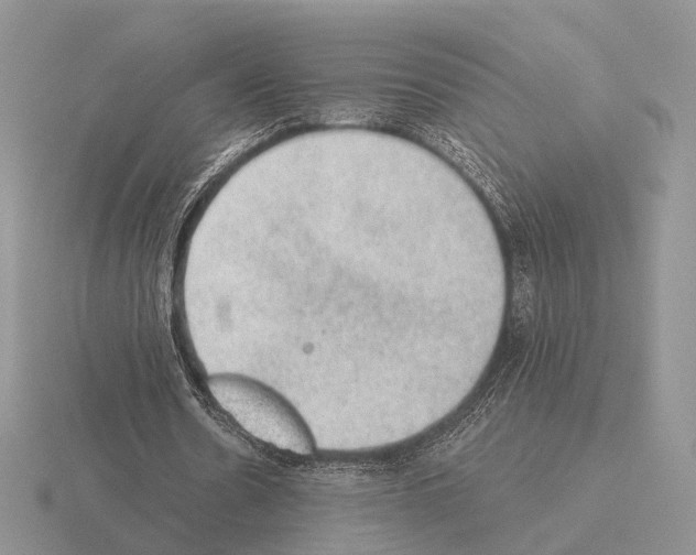 X0000115380530200912151441