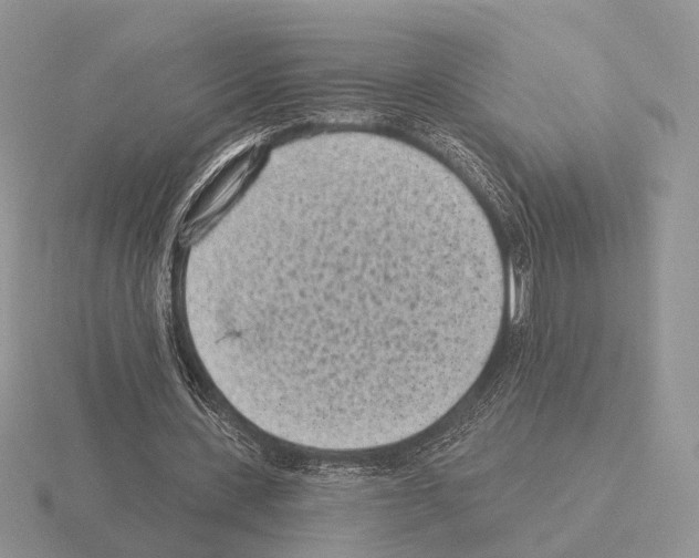 X0000115380531200912151441