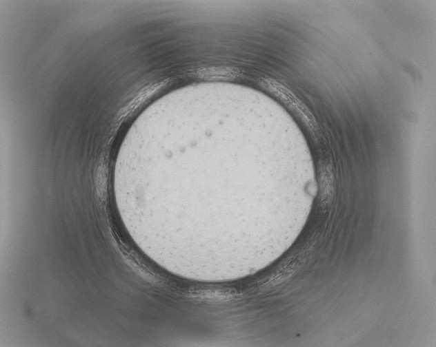 X0000115380533200912151441