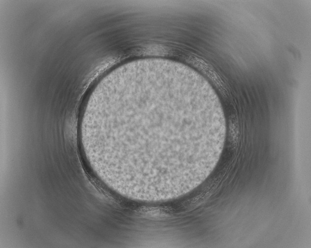 X0000115380534200912151441