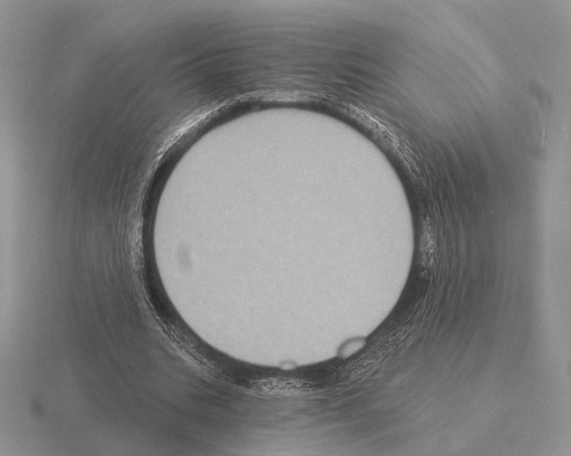 X0000115380535200912151441