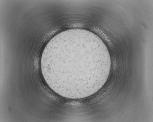 X0000115380537200912151441