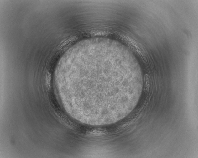 X0000115380550200912151441