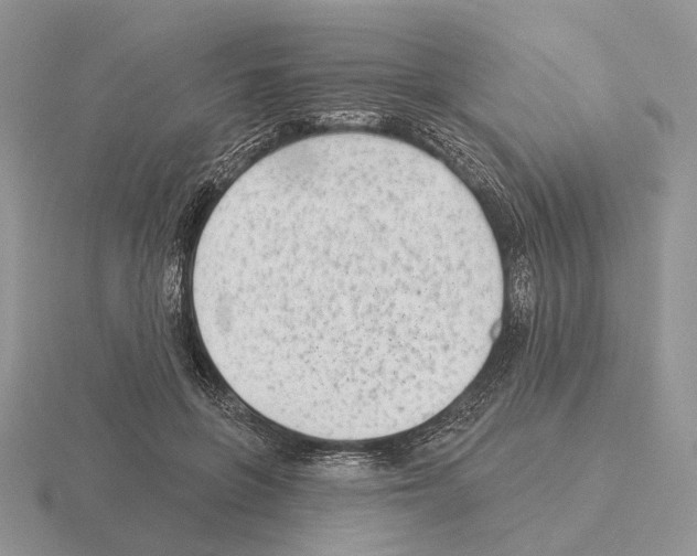 X0000115380551200912151441