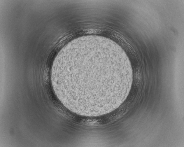 X0000115380554200912151441