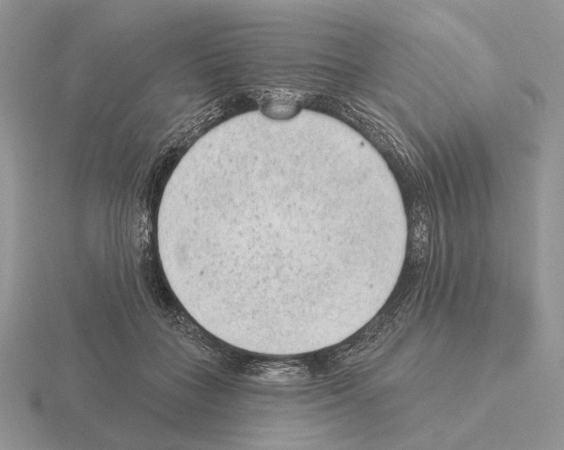 X0000115380555200912151441