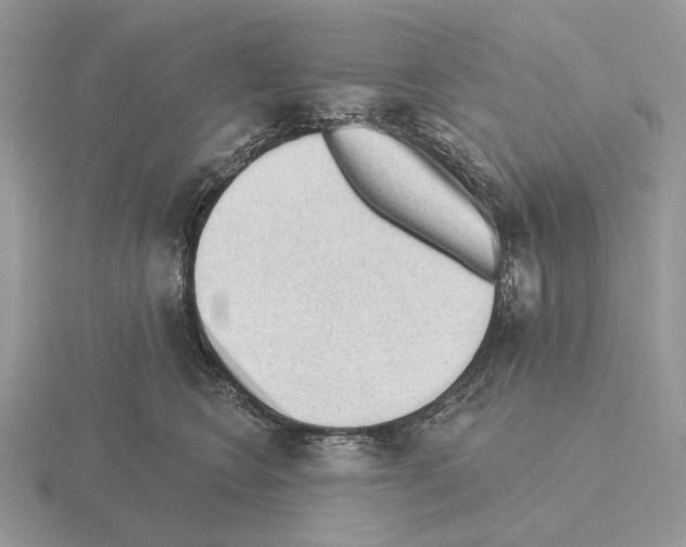 X0000115380566200912151441