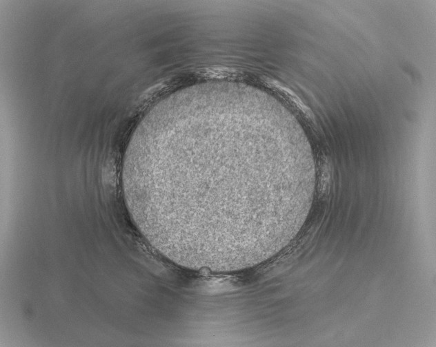 X0000115380569200912151441