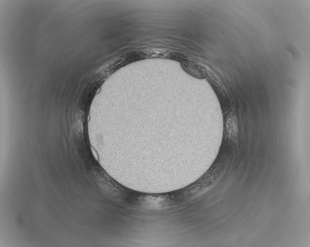 X0000115380570200912151441