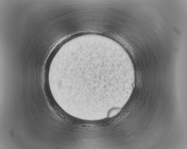 X0000115380580200912151441