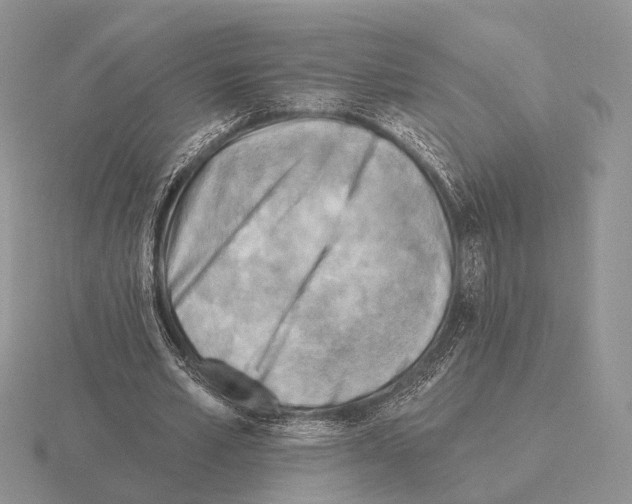 X0000115380581200912151441