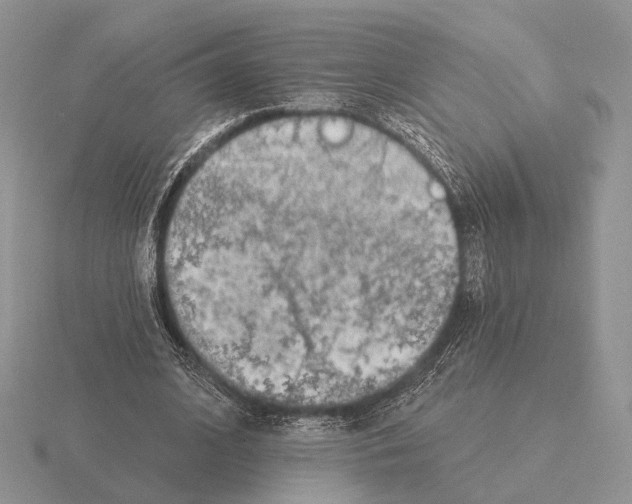 X0000115380584200912151441