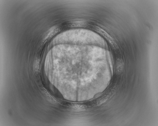 X0000115380585200912151441