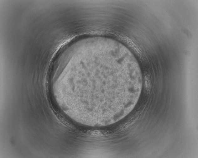 X0000115380588200912151441