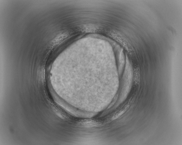 X0000115380589200912151441