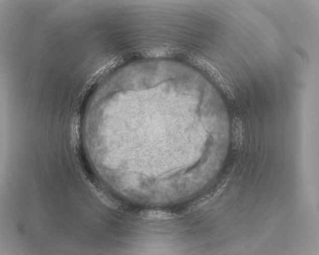 X0000115380590200912151441