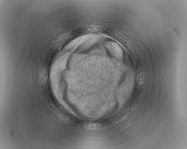 X0000115380593200912151441