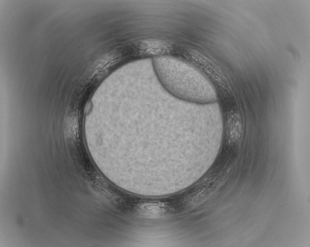 X0000115380595200912151441