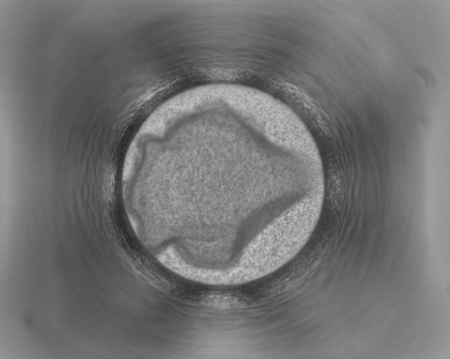 X0000115380596200912151441