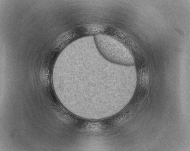 X0000115380599200912151441