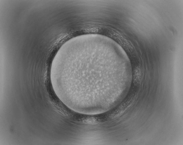 X0000115380600200912151441